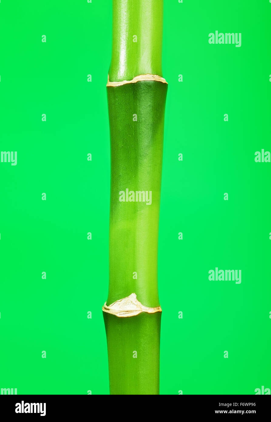 Bamboo stick hi-res stock photography and images - Alamy