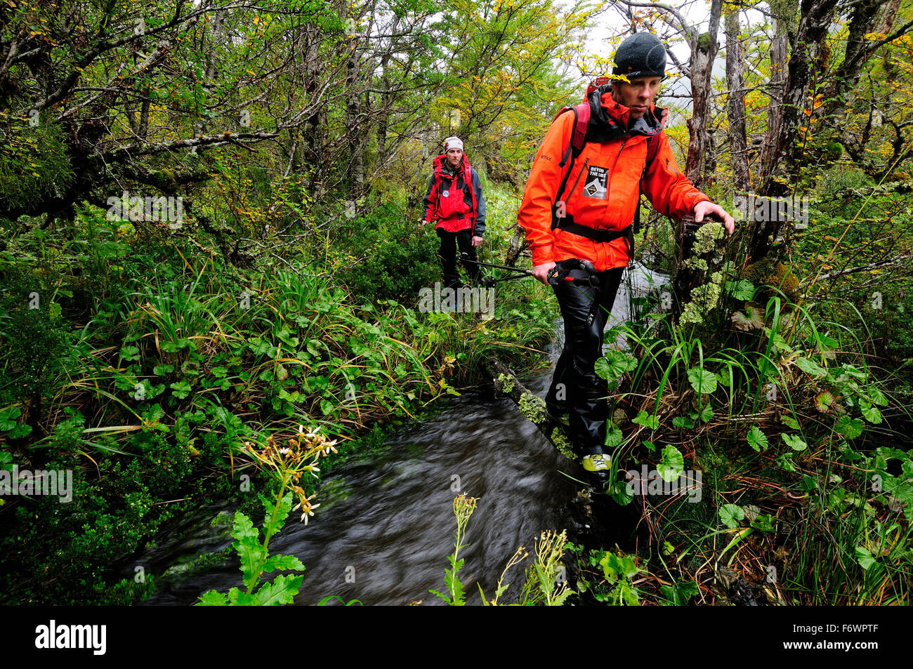 Two mountaineers passing a rainforest at the foot of Monte Sarmiento, Tierra del Fuego, Chile Stock Photo