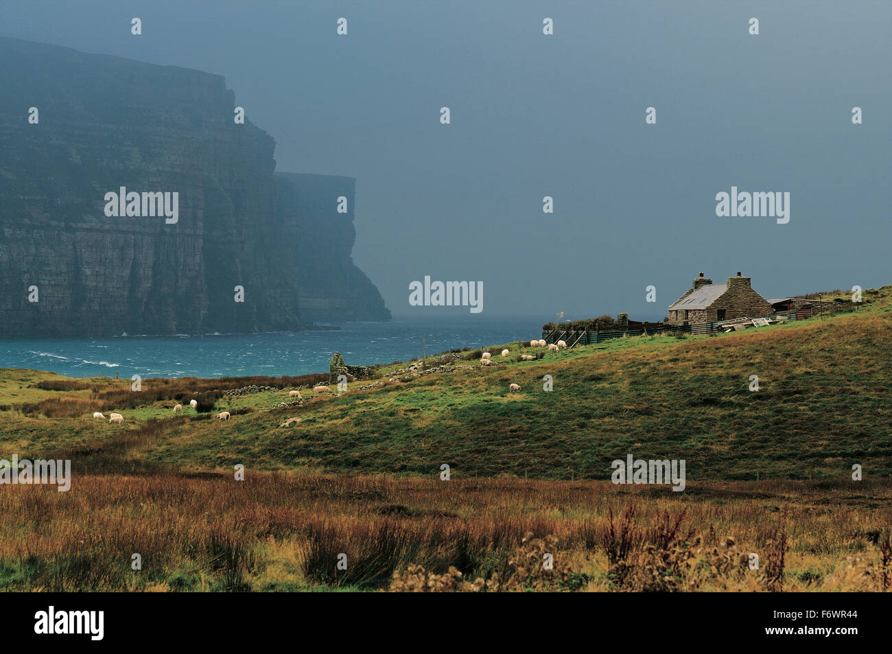 House in the bay of Rackwick, Orkney Islands, Scotland, Great Britain Stock Photo