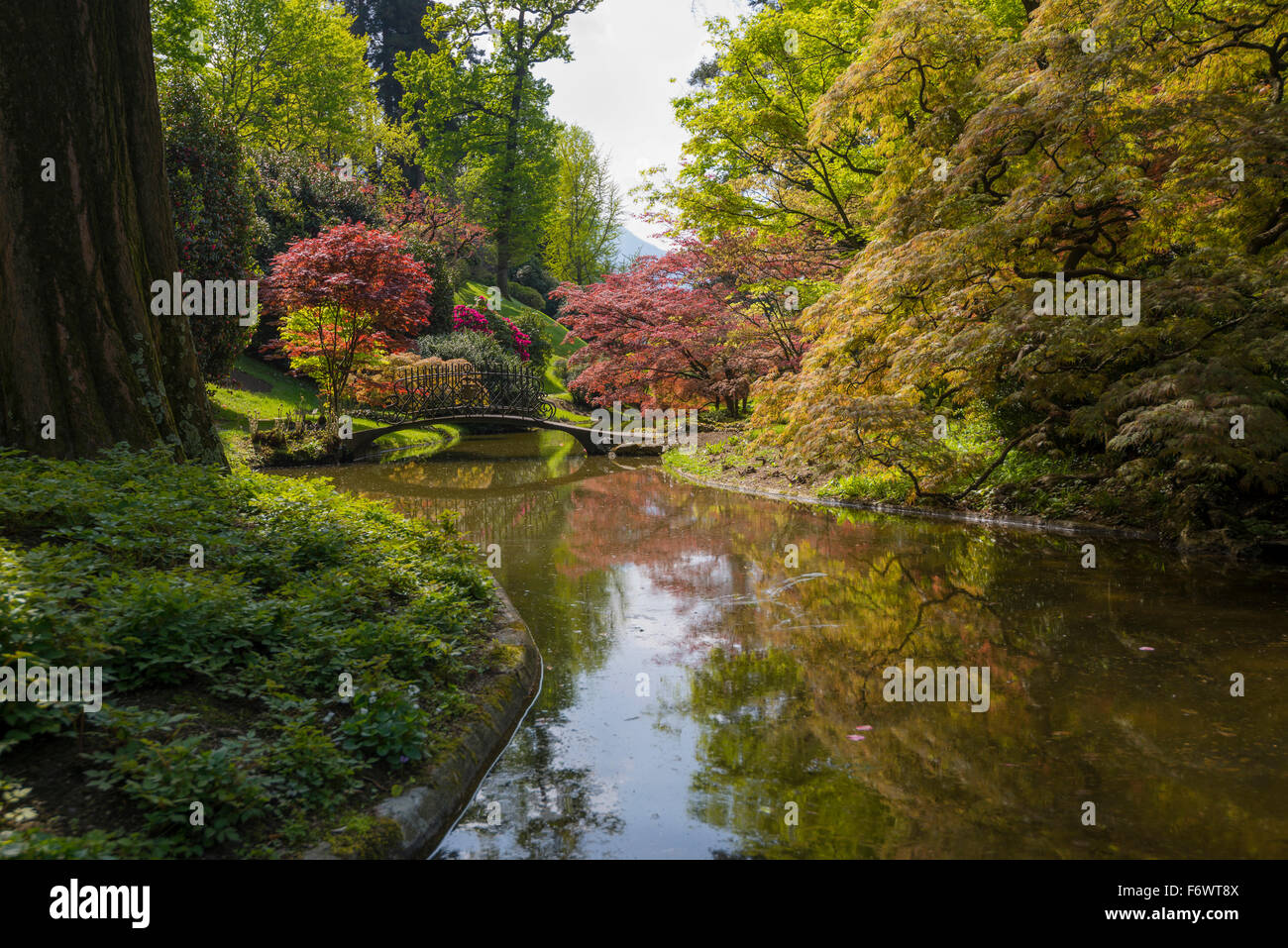 English style gardens of Villa Melzi, Bellagio, Lake Como, Lago di Como, Province of Como, Lombardy, Italy Stock Photo