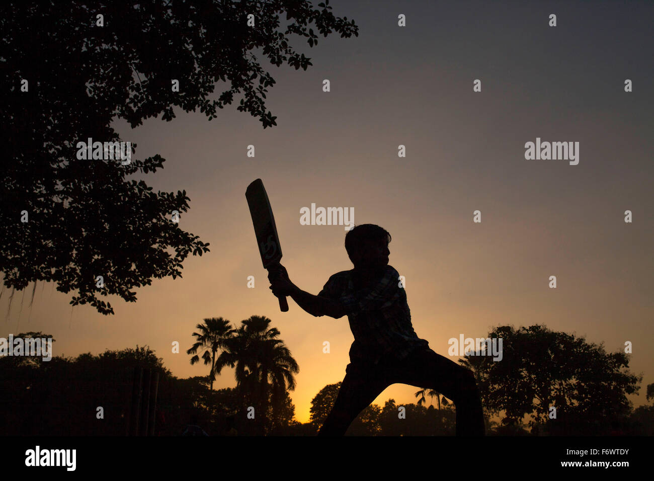 Dhaka, Bangladesh. 20th Nov, 2015. A boy playing cricket at a park in evening in Dhaka on November 20, 2015. Credit:  zakir hossain chowdhury zakir/Alamy Live News Stock Photo