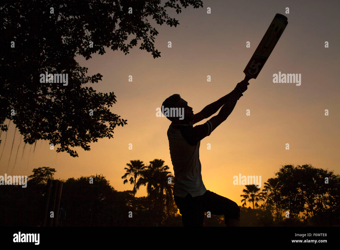 Dhaka, Bangladesh. 20th Nov, 2015. A boy playing cricket at a park in evening in Dhaka on November 20, 2015. Credit:  zakir hossain chowdhury zakir/Alamy Live News Stock Photo