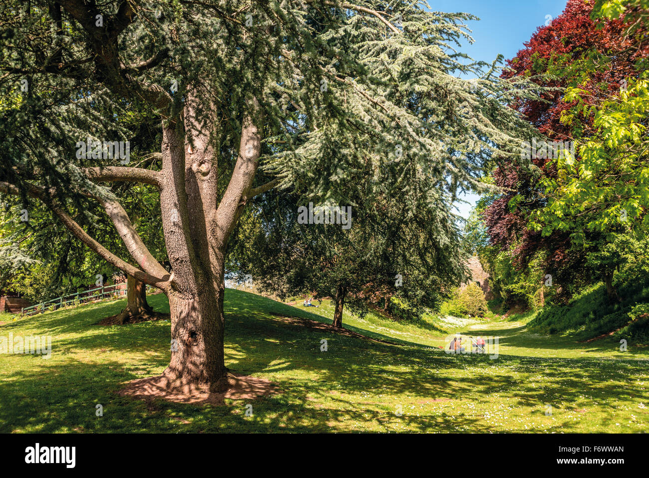 Rougemont Gardens, Exeter, Devon, United Kingdom UK Stock Photo