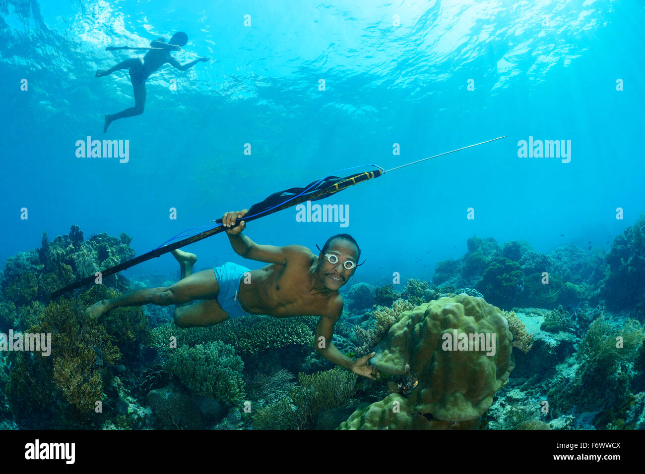 Local Spearfisherman diving under water, Alor Archipelago, Indonesia, Sawu Sea, Pantarstrait, Indian Ocean Stock Photo