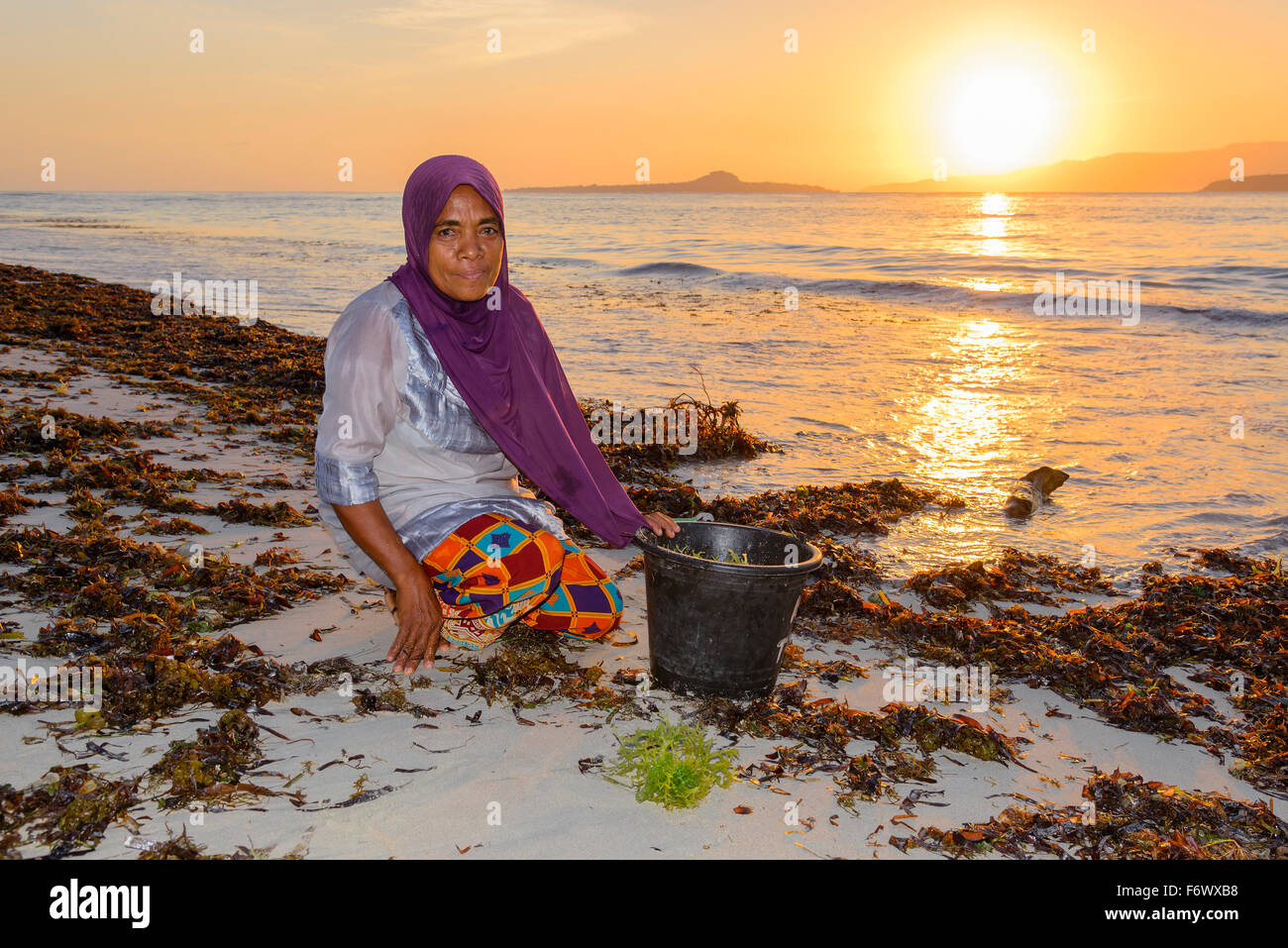 Indonesian woman collecting Algae for agar agar, Alor, Indonesia Stock Photo
