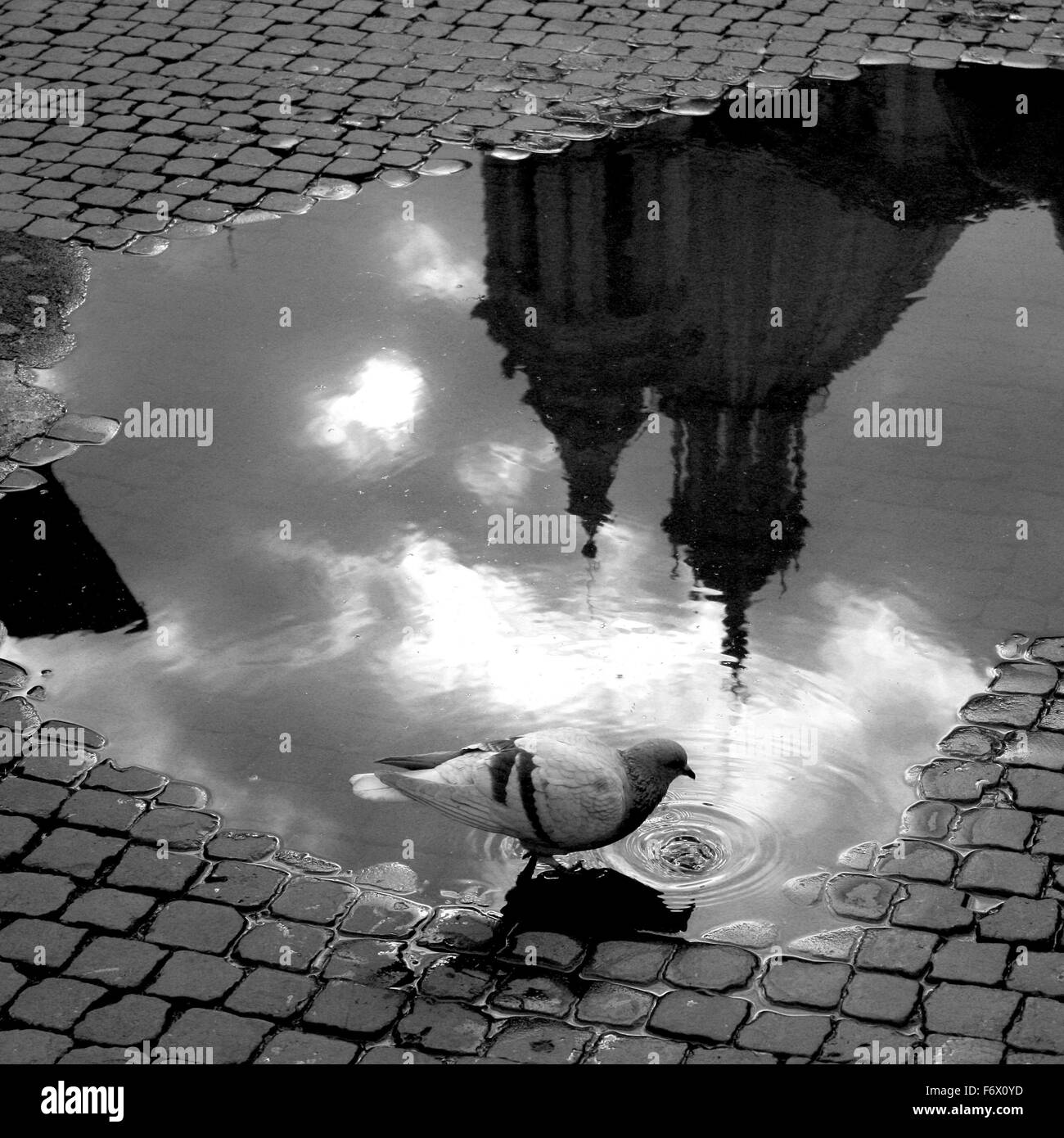 Puddles High Resolution Stock Photography and Images - Alamy