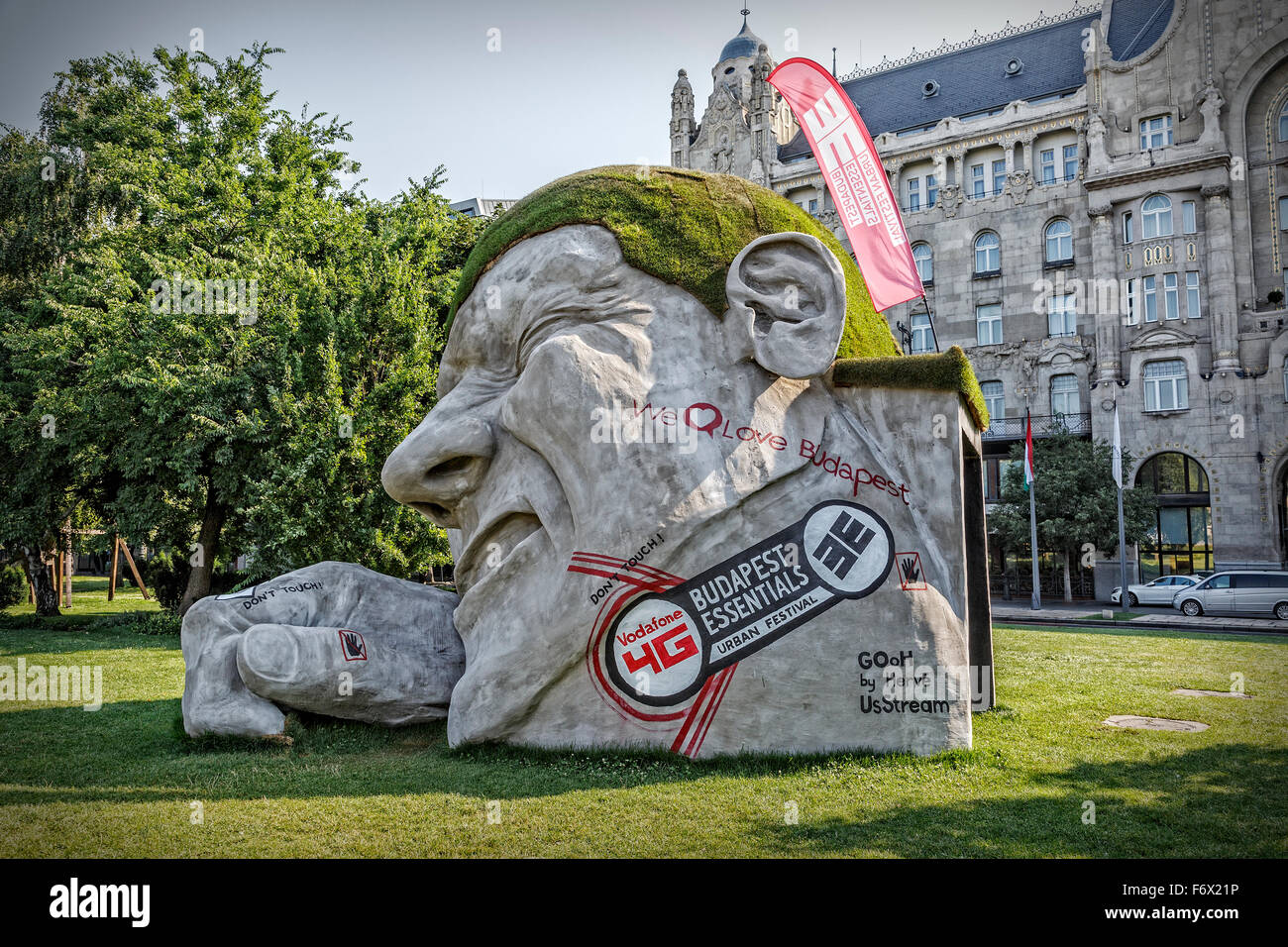 Loranth High Resolution Stock Photography And Images Alamy