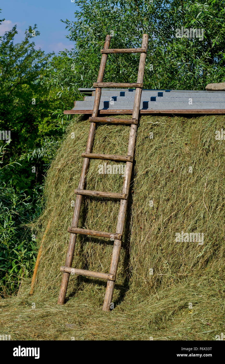 Step ladder hires stock photography and images Alamy