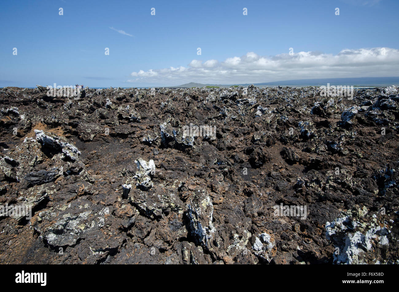 Lava Field, Las Tintoreras, Isla Isabela Stock Photo