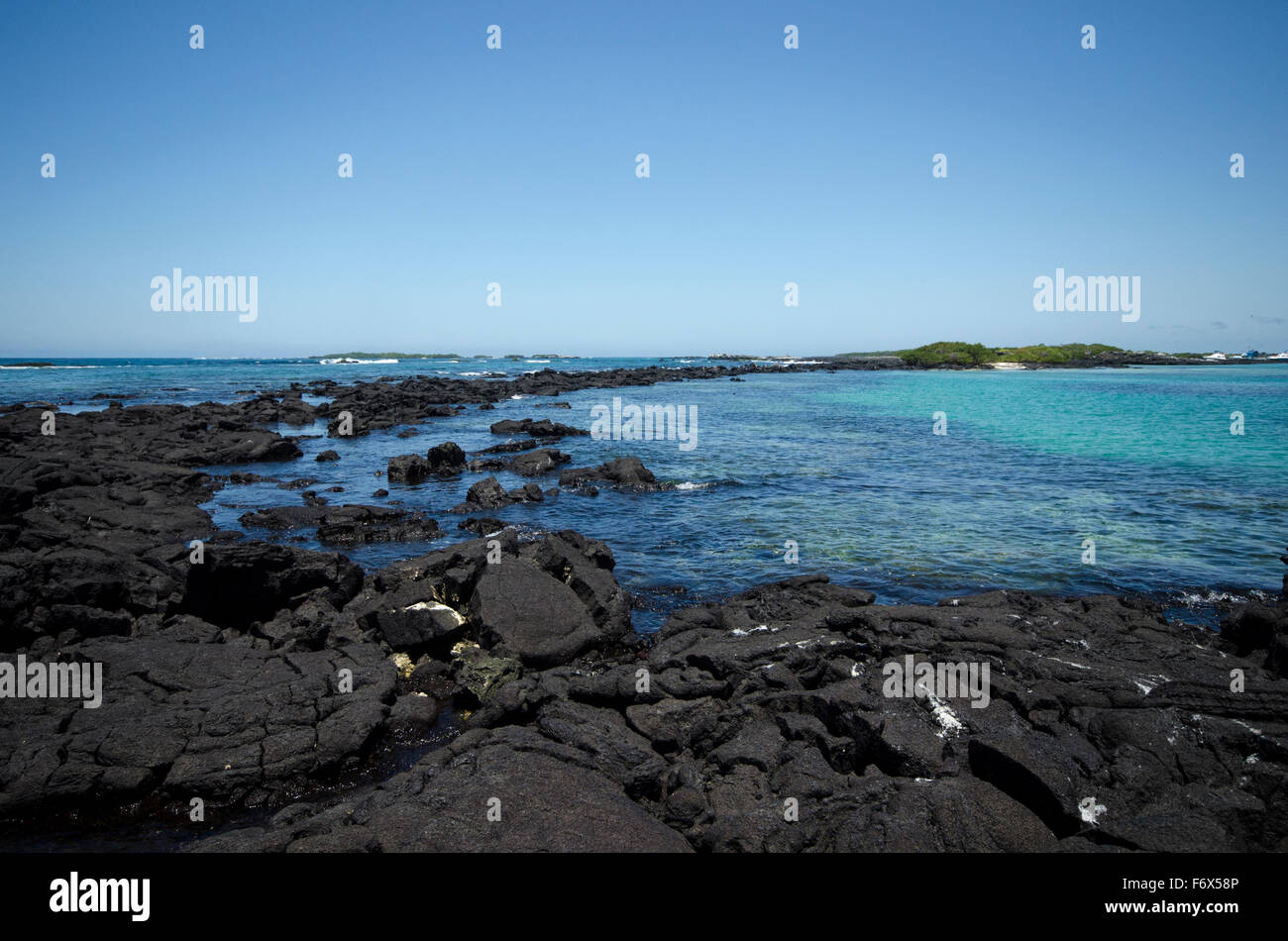 Reefs of lava rock, Las Tintoreras Isla Isabela Stock Photo