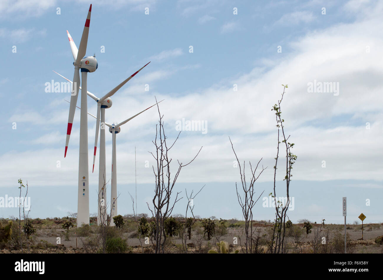 Windmills on Baltra Stock Photo