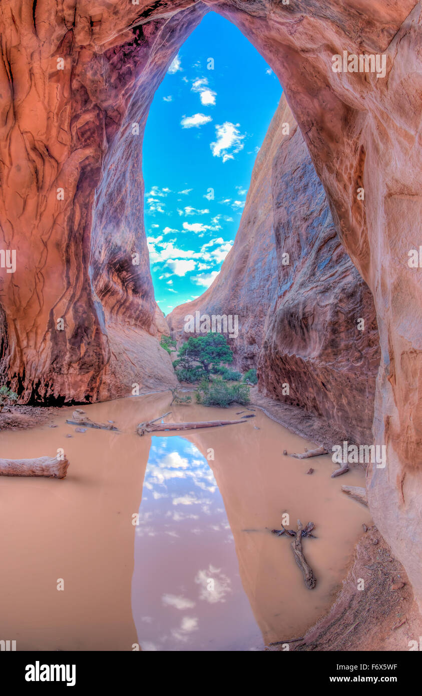 Reflections in muddy water, Navajo Arch, Arches National Park, Utah Devils Garden Stock Photo
