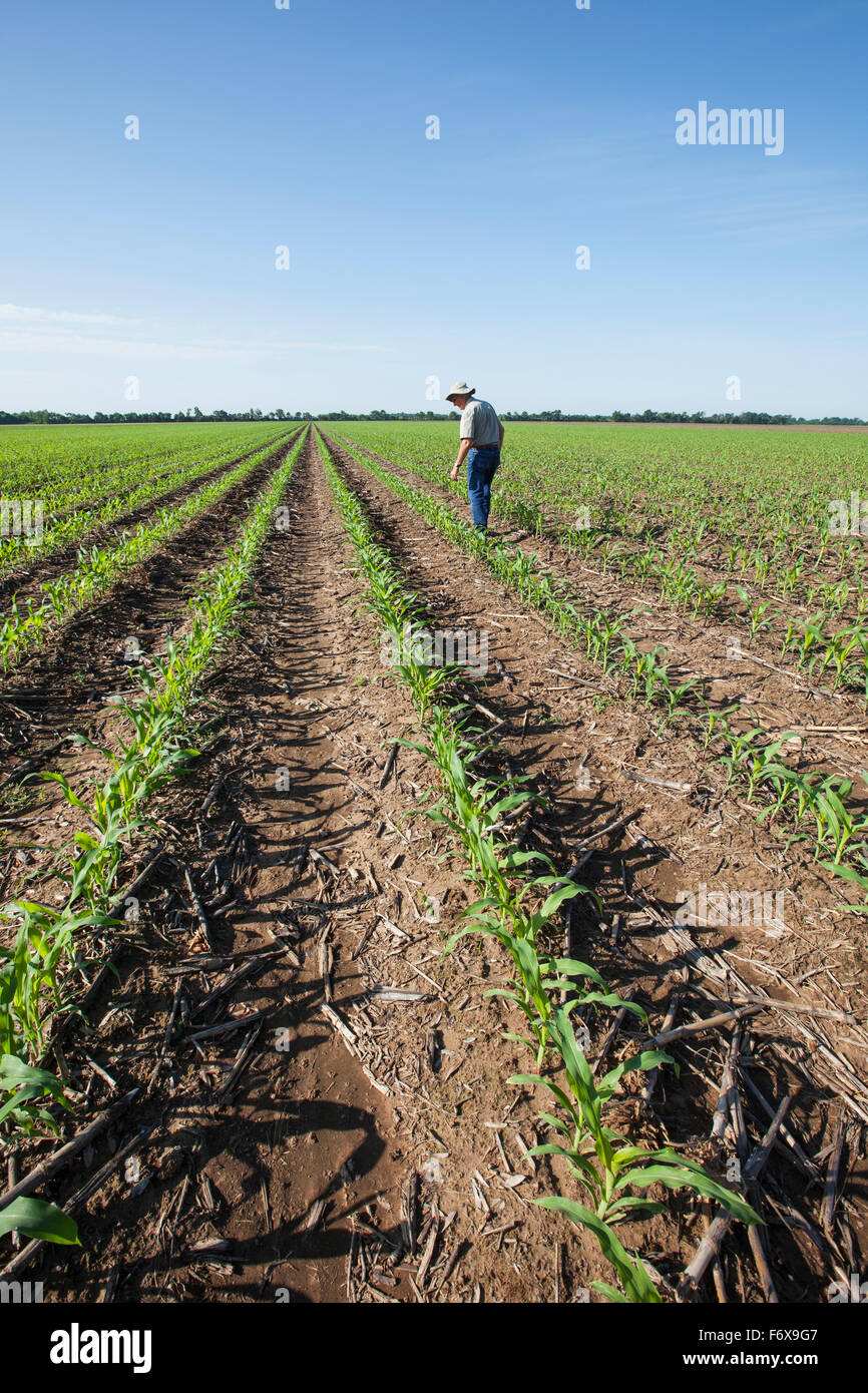 Tillage farmer hi-res stock photography and images - Alamy