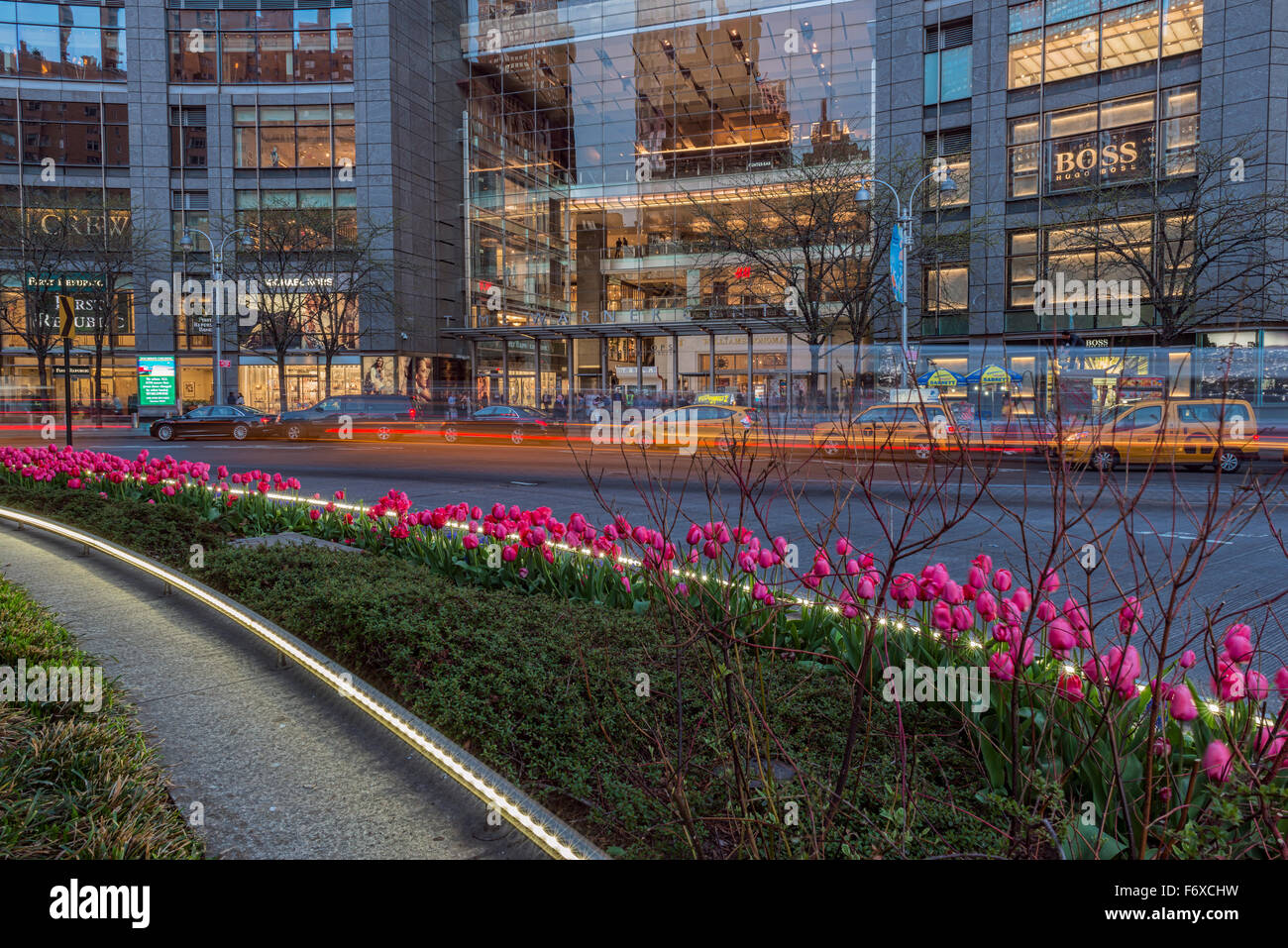Tulip display at Time Warner Center at twilight, Columbus Circle; New York City, New York, United States of America Stock Photo