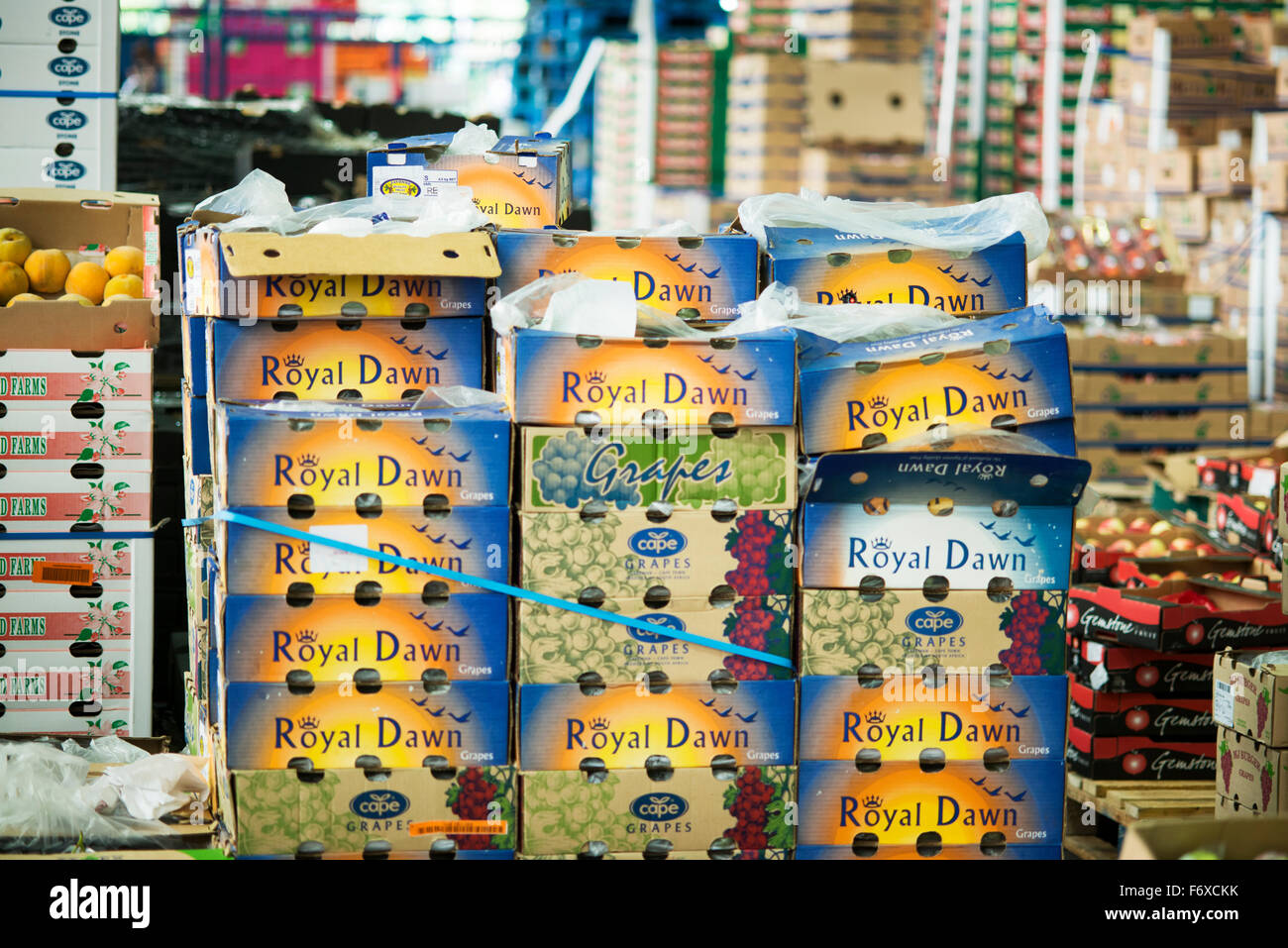 Boxes of produce at the Tshwane Fresh Produce Market; Pretoria, Gauteng