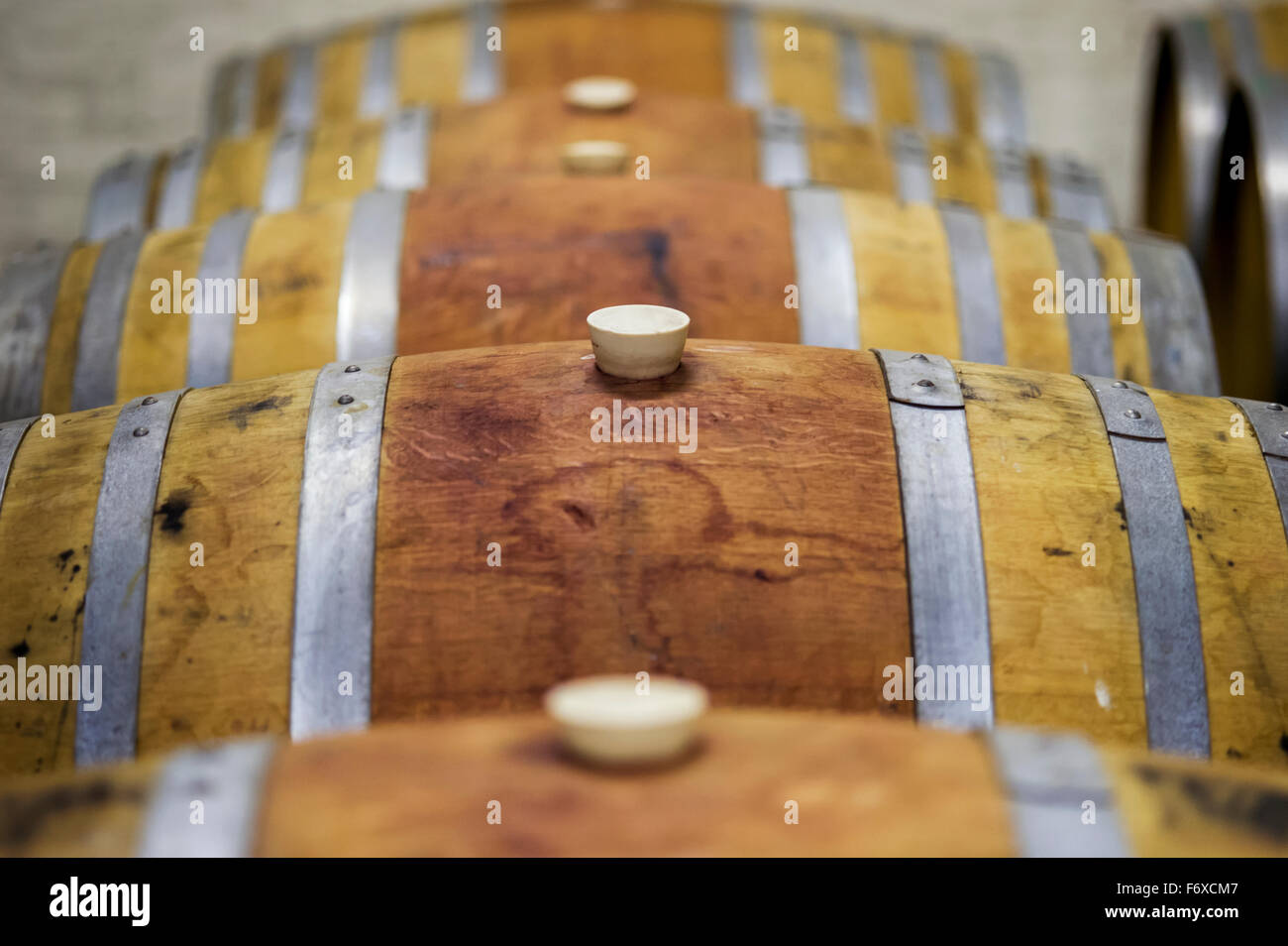 Corks in wine barrels; Stellenbosch, Western Cape, South Africa Stock