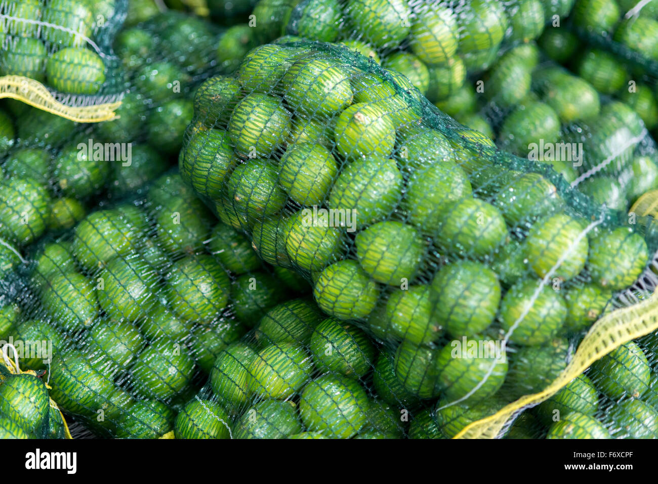 Net bags full of limes at the Tshwane Fresh Produce Market; Pretoria