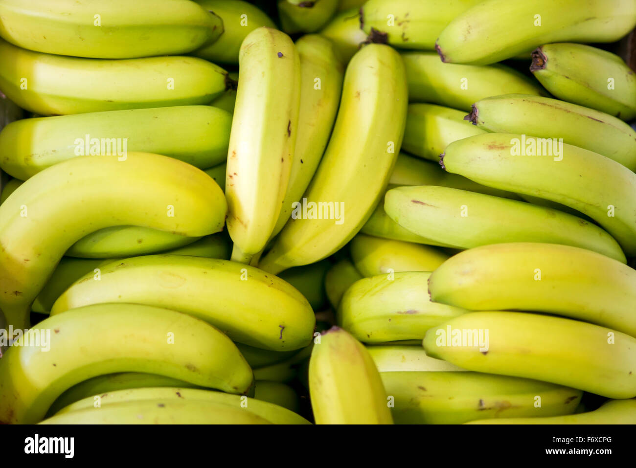 Bunch of Bananas on Red Background. Fresh Organic Banana, Fresh Bananas on  Kitchen Table Stock Image - Image of bkack, container: 62492349