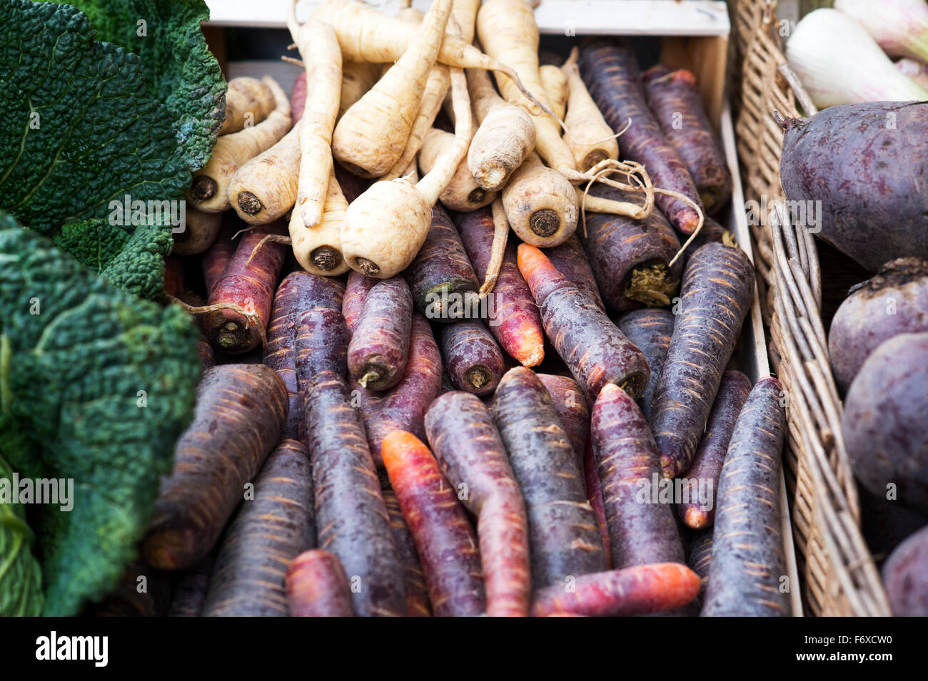 Turnips at a farmers market; Frankfurt, Germany Stock Photo