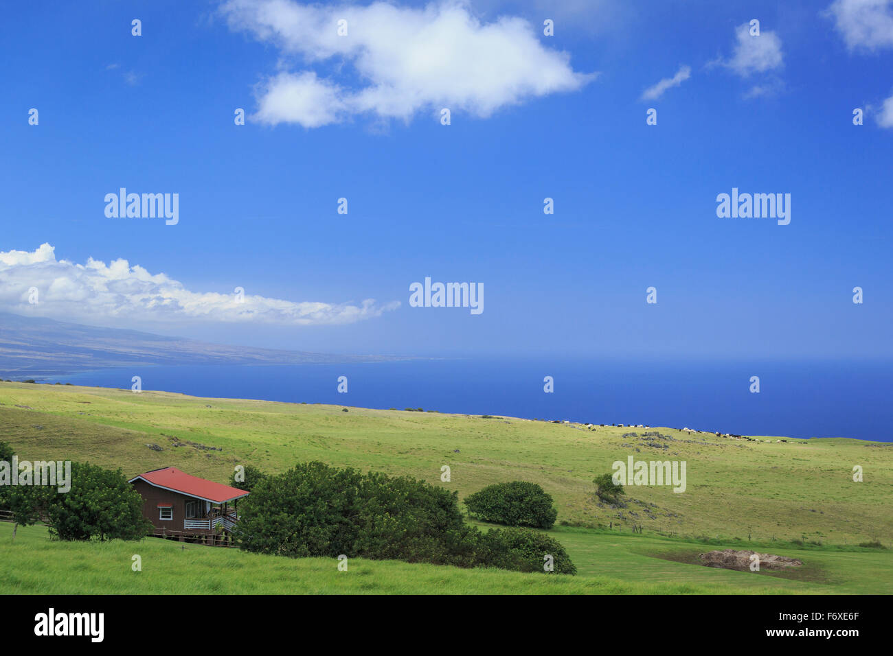 Kohala ranch hires stock photography and images Alamy