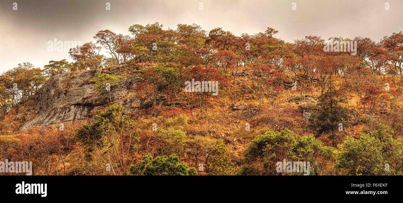 A rock face on a hillside covered with local trees with red and green foliage near Dedza, Malawi, Africa Stock Photo
