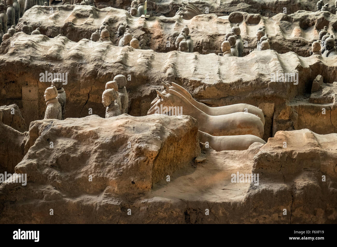 China mammals market hi-res stock photography and images - Alamy