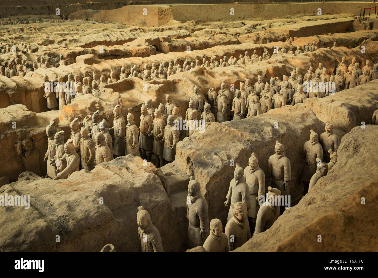 China mammals market hi-res stock photography and images - Alamy