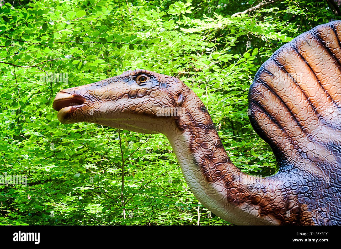 Life Size Dinosaur In Theme Park Outdoors In Rasnov Romania Stock Photo Alamy