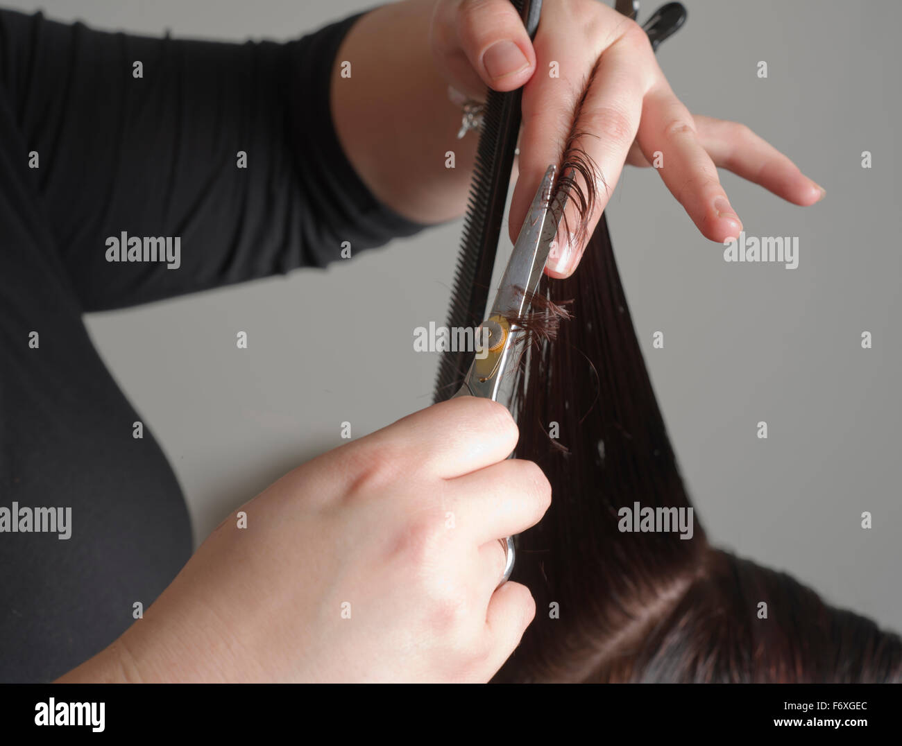 Home hairdresser visit. Traveling hair stylist who comes to your home to cut, style or colour ones hair. Stock Photo