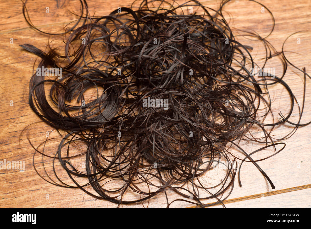 Hair clippings on a hairdressers floor. A womans cut brown hair on the floor of a hairdressing salon. Stock Photo
