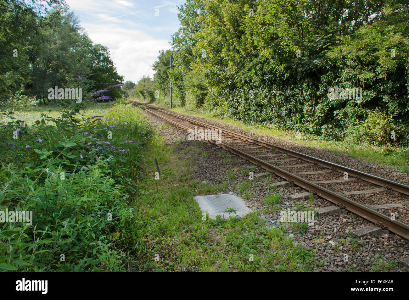 An old, rusty railway track surrounded by overgrown greenery. Stock Photo