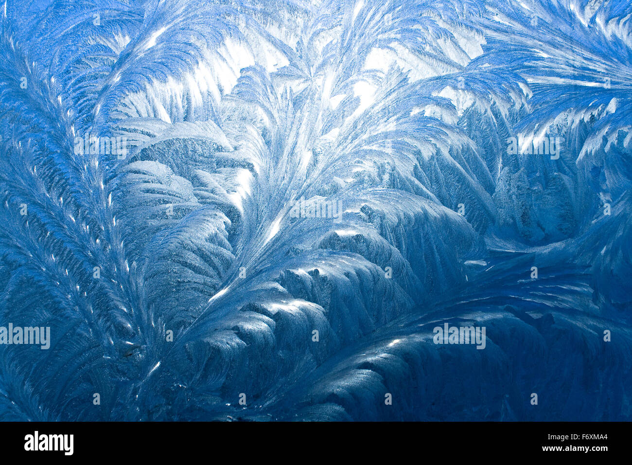 Ice pattern on a window in winter time Stock Photo