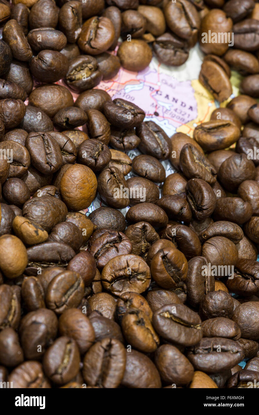 Geographical map of Uganda covered by a background of roasted coffee beans. This nation is one of the main producers and exporte Stock Photo