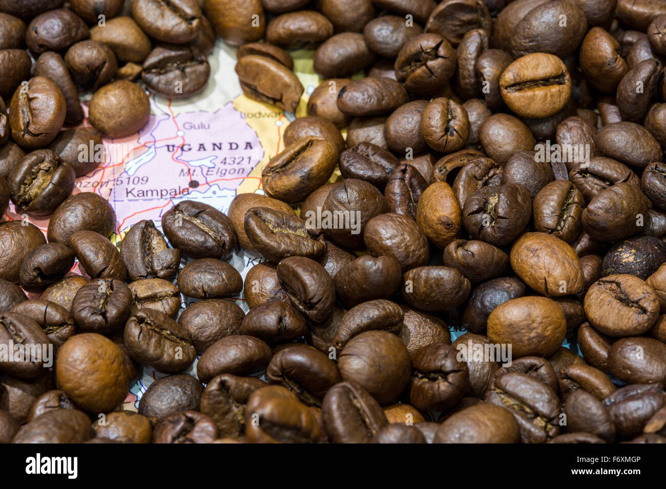 Geographical map of Uganda covered by a background of roasted coffee beans. This nation is one of the main producers and exporte Stock Photo