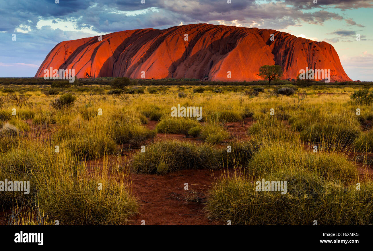 Sunset view of Uluru (Ayer's Rock) at Uluru-Kata Tjuta National Park, Northern Territory, Australia Stock Photo