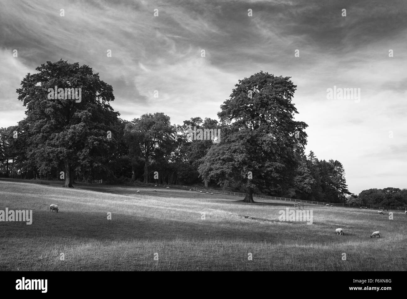 View of the countryside, Cotswold, England Stock Photo - Alamy