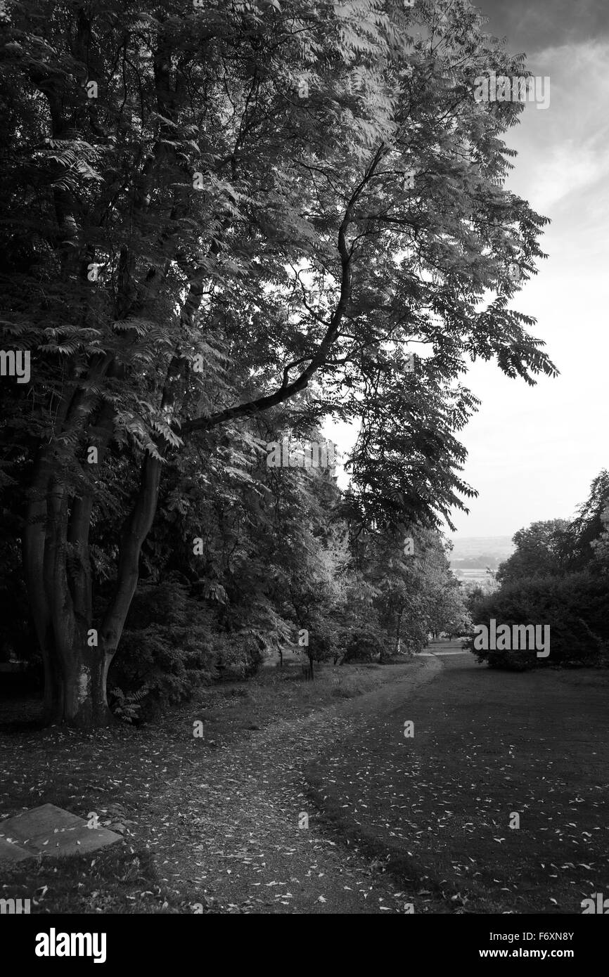 View of a winding footpath along the edge of a forest in England Stock Photo