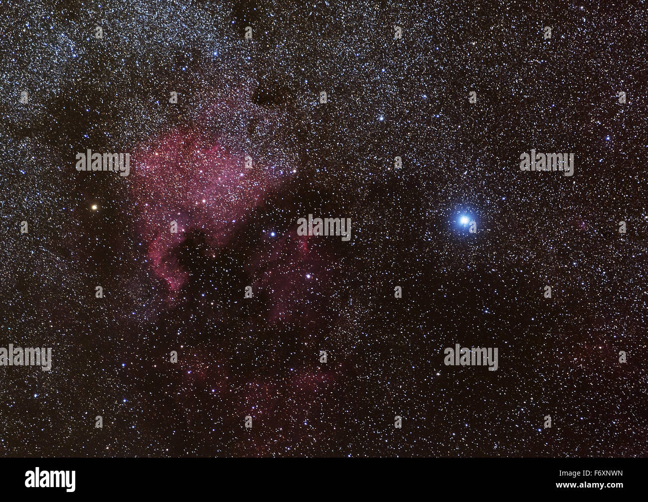 The North America Nebula in the Cygnus area next to the star Deneb Stock Photo