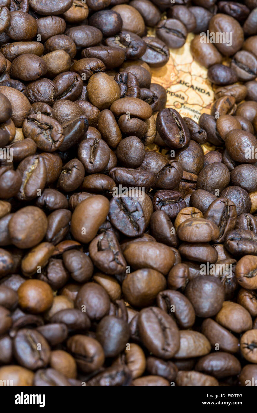 Vintage map of Uganda covered by a background of roasted coffee beans. This nation is one of the main producers and exporters of Stock Photo