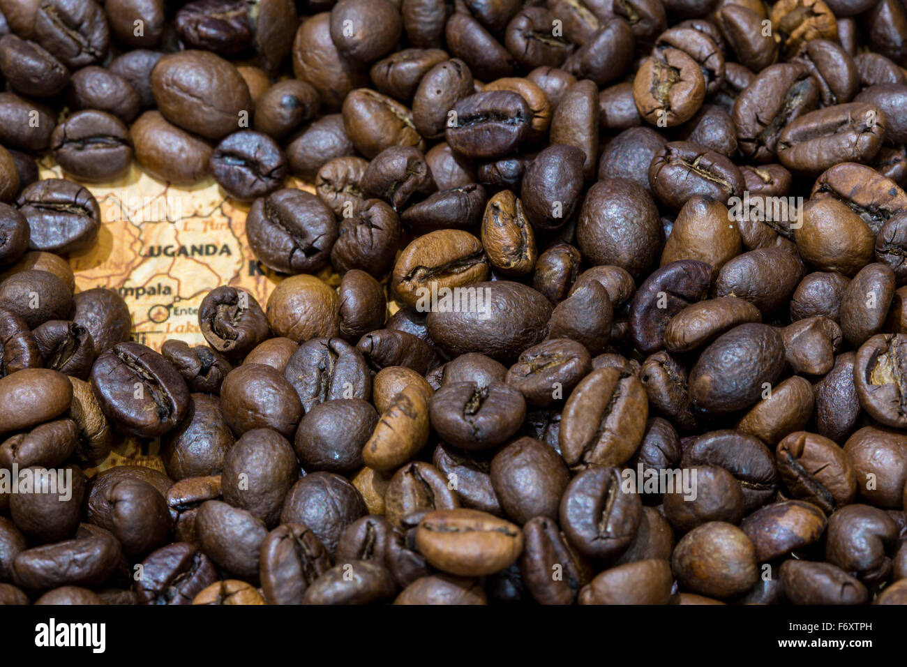 Vintage map of Uganda covered by a background of roasted coffee beans. This nation is one of the main producers and exporters of Stock Photo