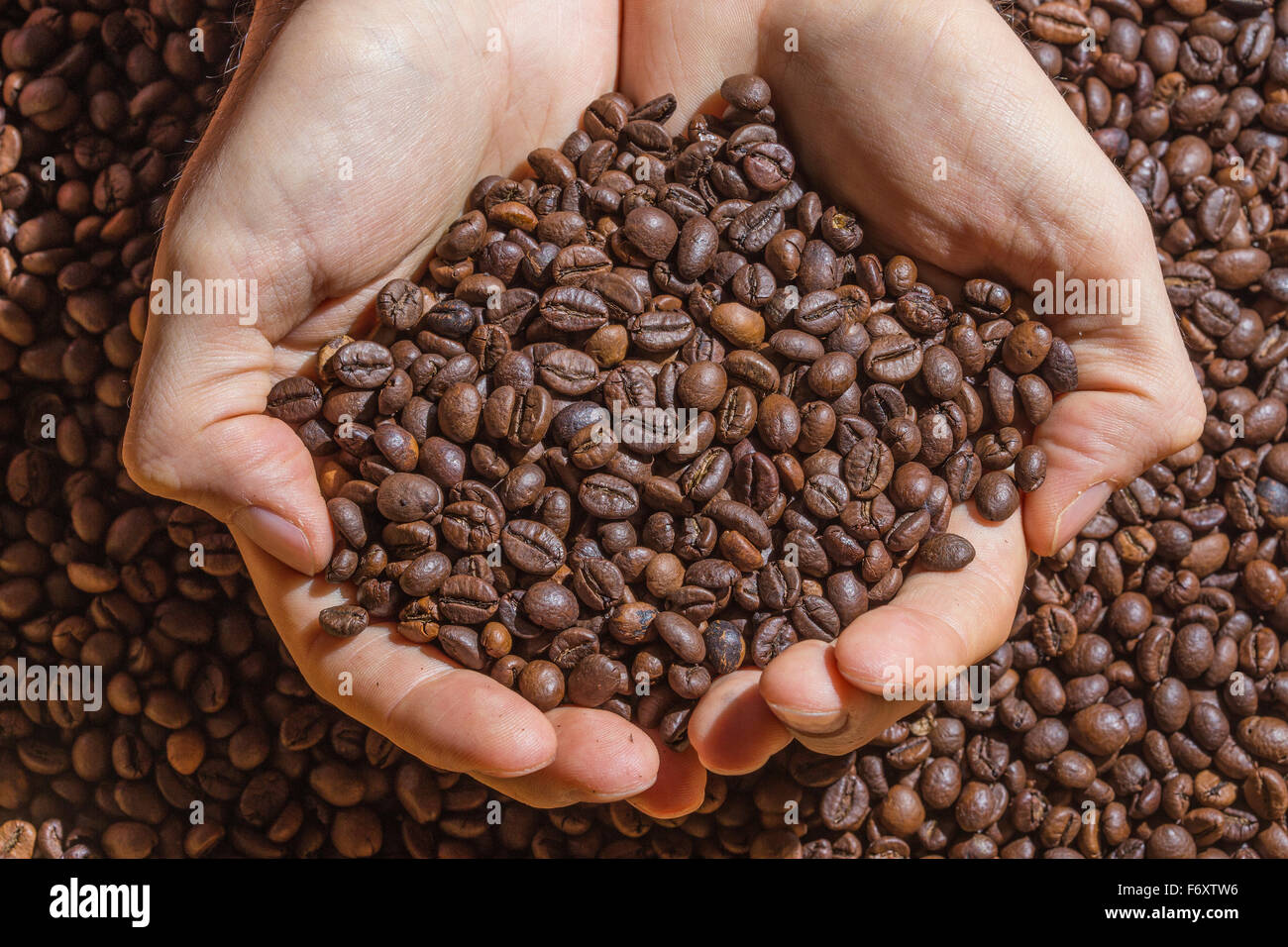 Hands of a man holding a handful of roasted brown coffee beans. Coffee beans as uniform background. Stock Photo