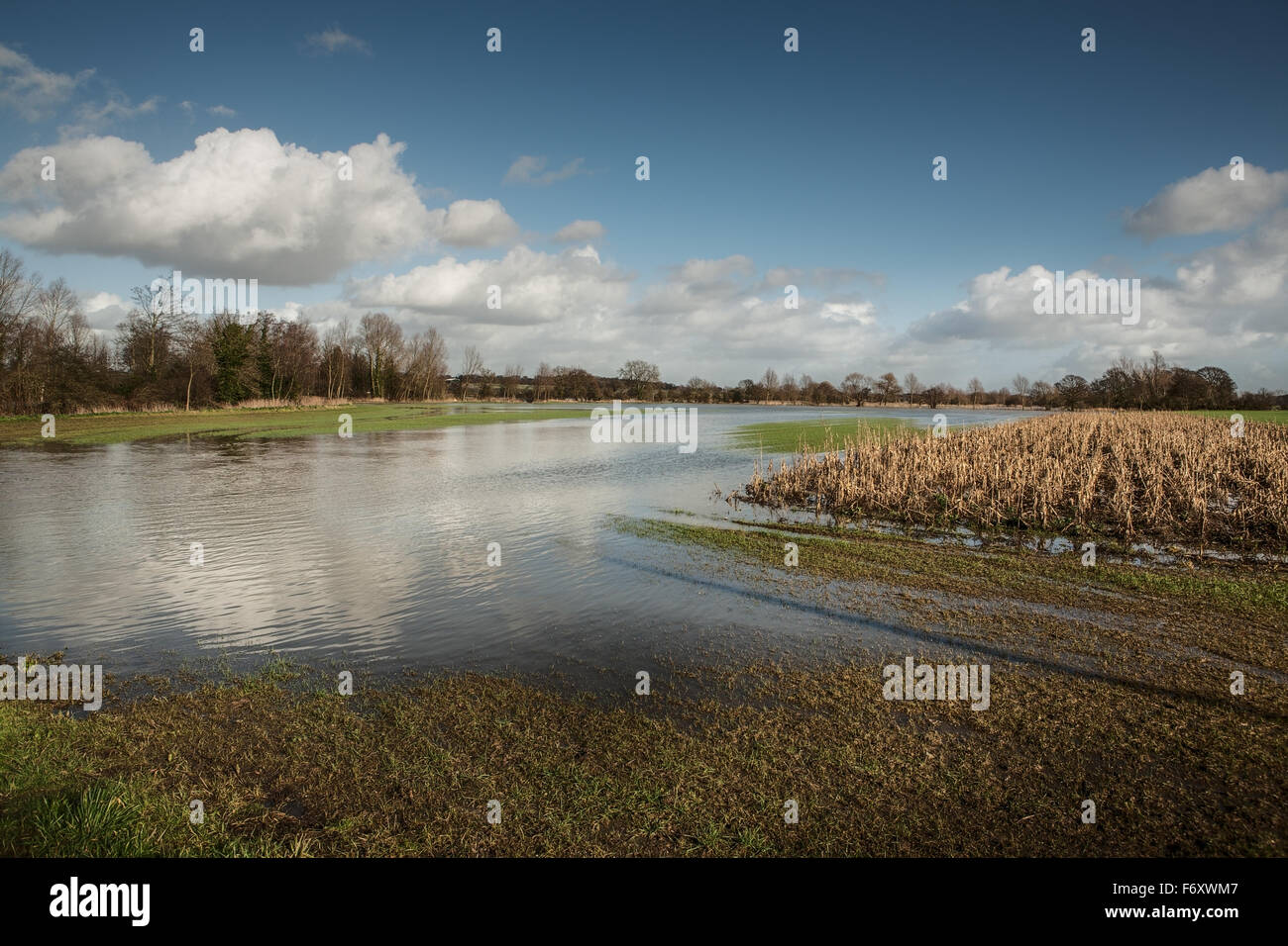 Flooded field after heavy rain in essex, england Stock Photo - Alamy