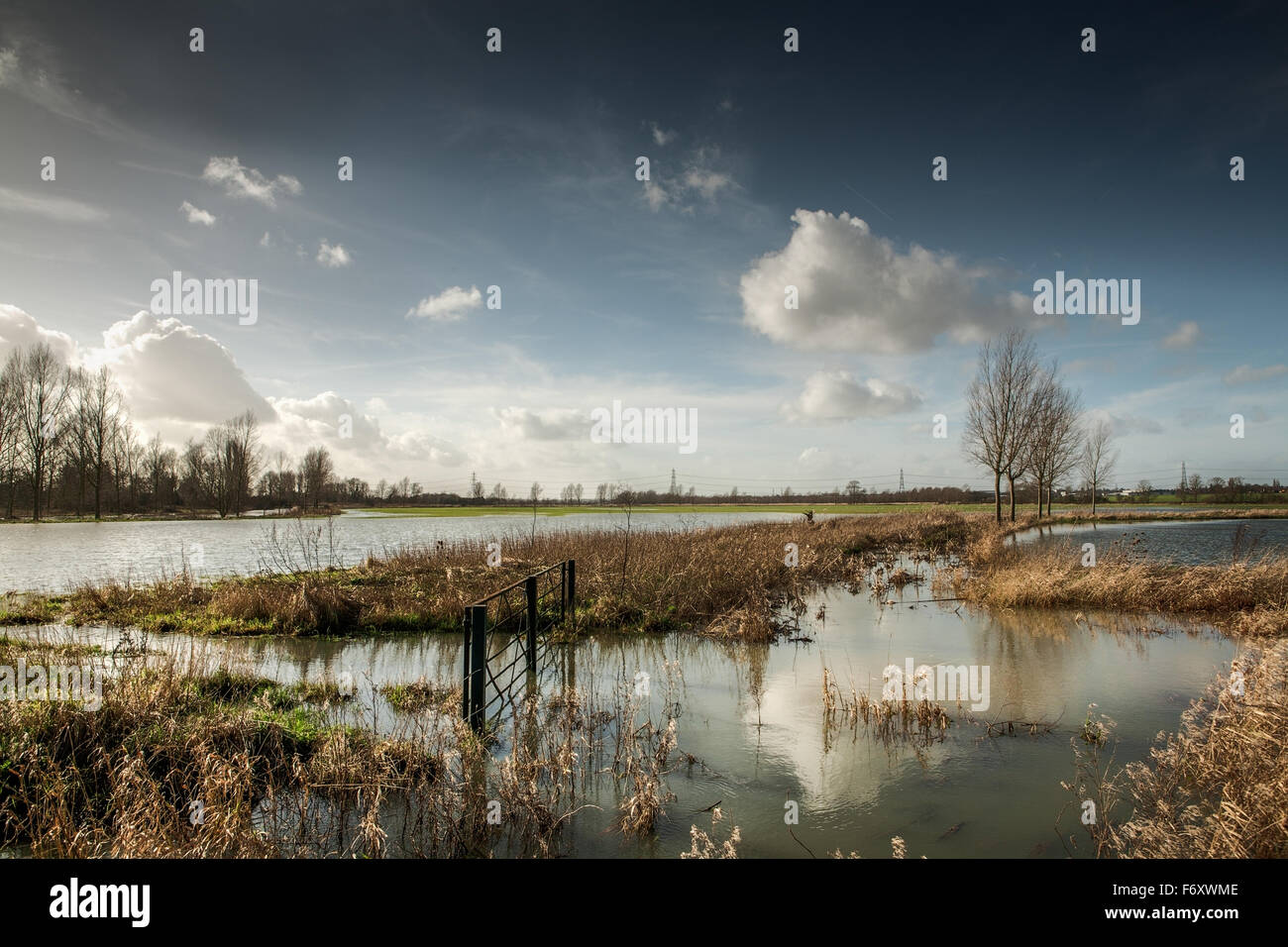 Flooded field after heavy rain in essex, england Stock Photo - Alamy