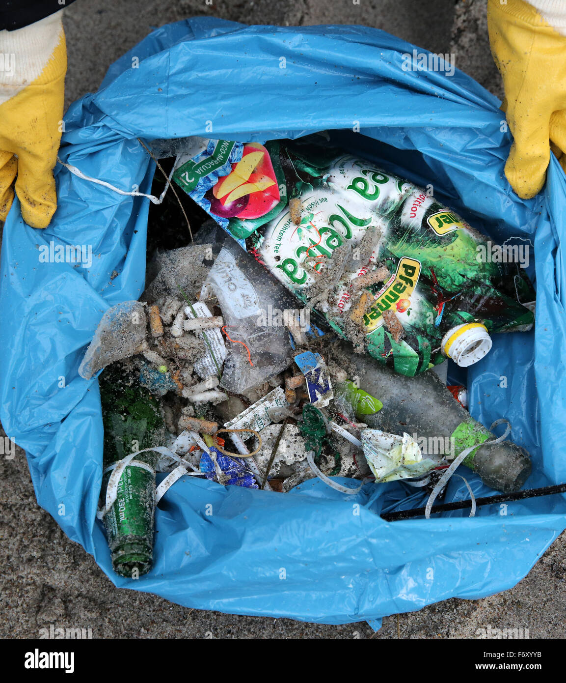 Rostock, Germany. 20th Nov, 2015. Activists collect garbage at the Baltic Sea beach of Rostock, Germany, 20 November 2015. The Nature and Biodiversity Conservation Union (NABU) and Oekohaus Rostock (lit. Rostock Eco House) held a day of action entitled 'Plastic waste in the ocean' to draw attention to the large amounts of plastic waste drifting through the seas that span square kilometres. Photo: BERND WUESTNECK/dpa/Alamy Live News Stock Photo