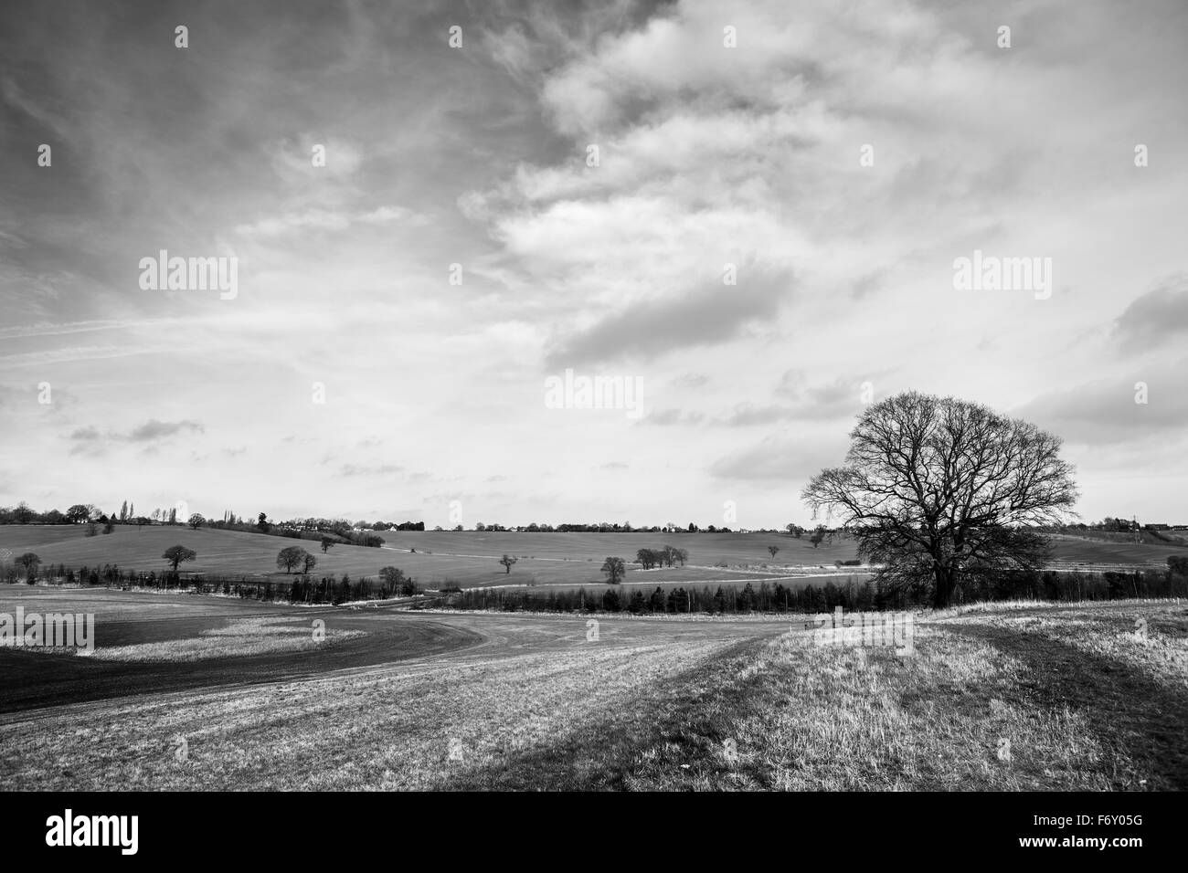 landscape view of the lovely Essex countryside in England Stock Photo