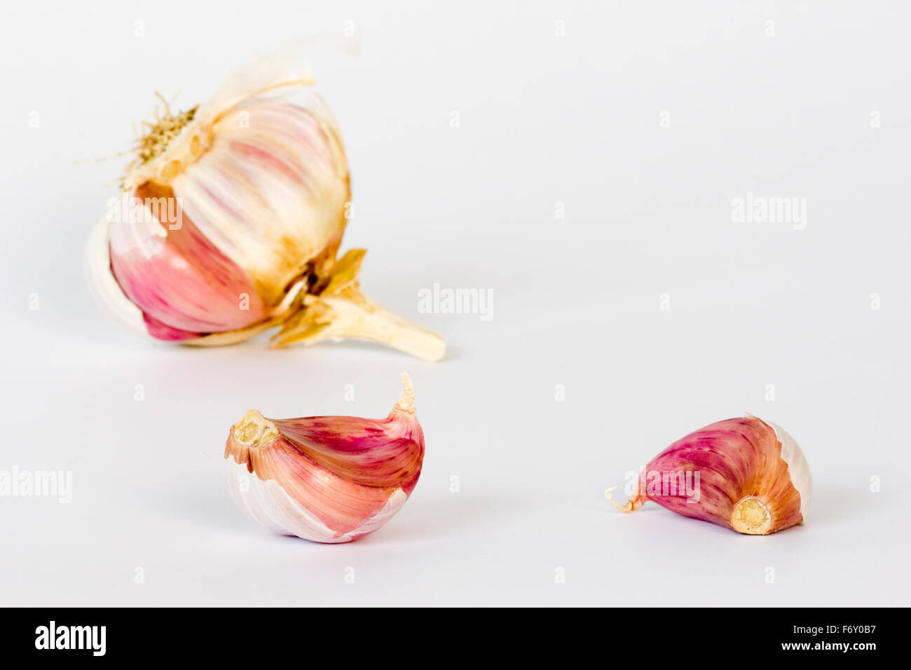 Garlic bulb and cloves on a white background Stock Photo - Alamy
