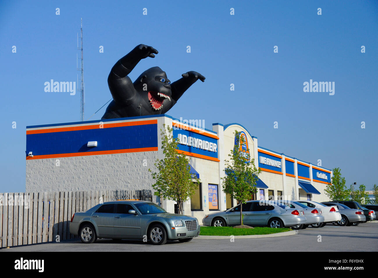 Marketing stunt with giant inflatable gorilla at Car dealership Stock