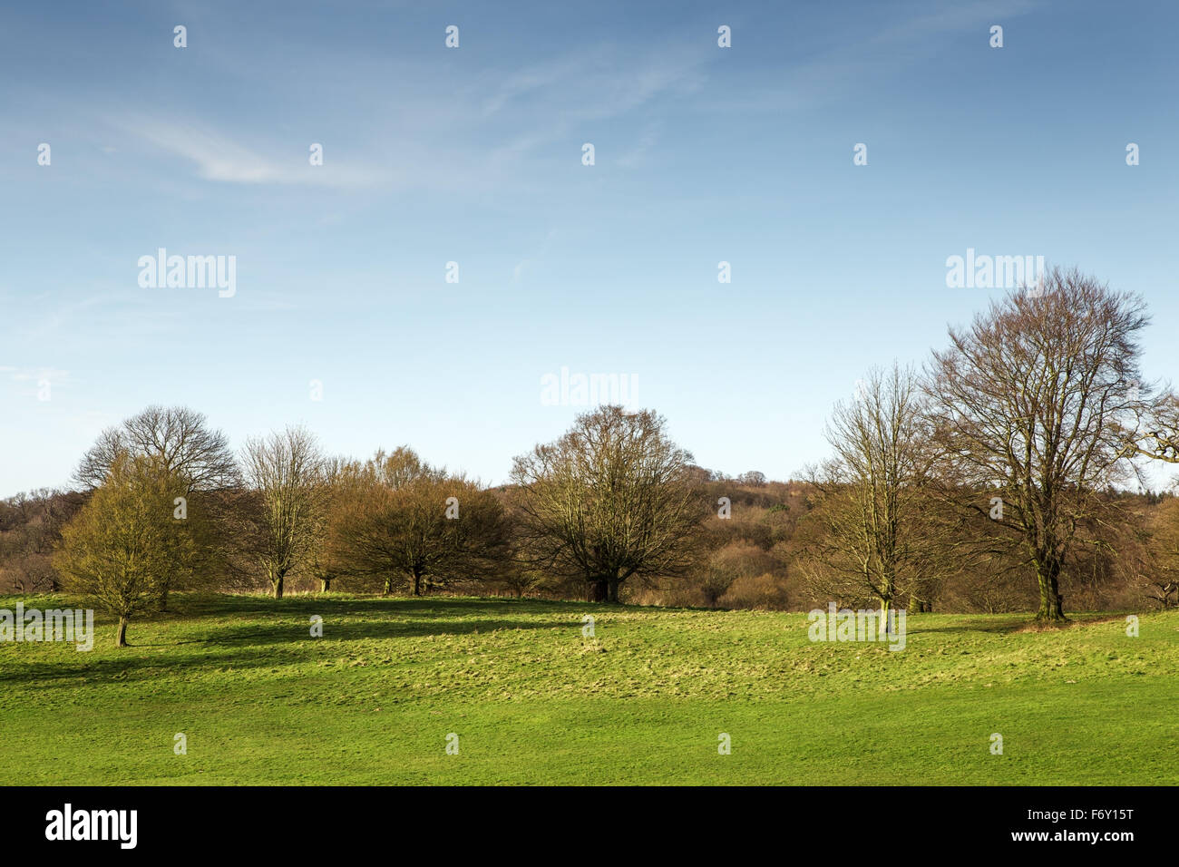 landscape view of the lovely Essex countryside in England Stock Photo