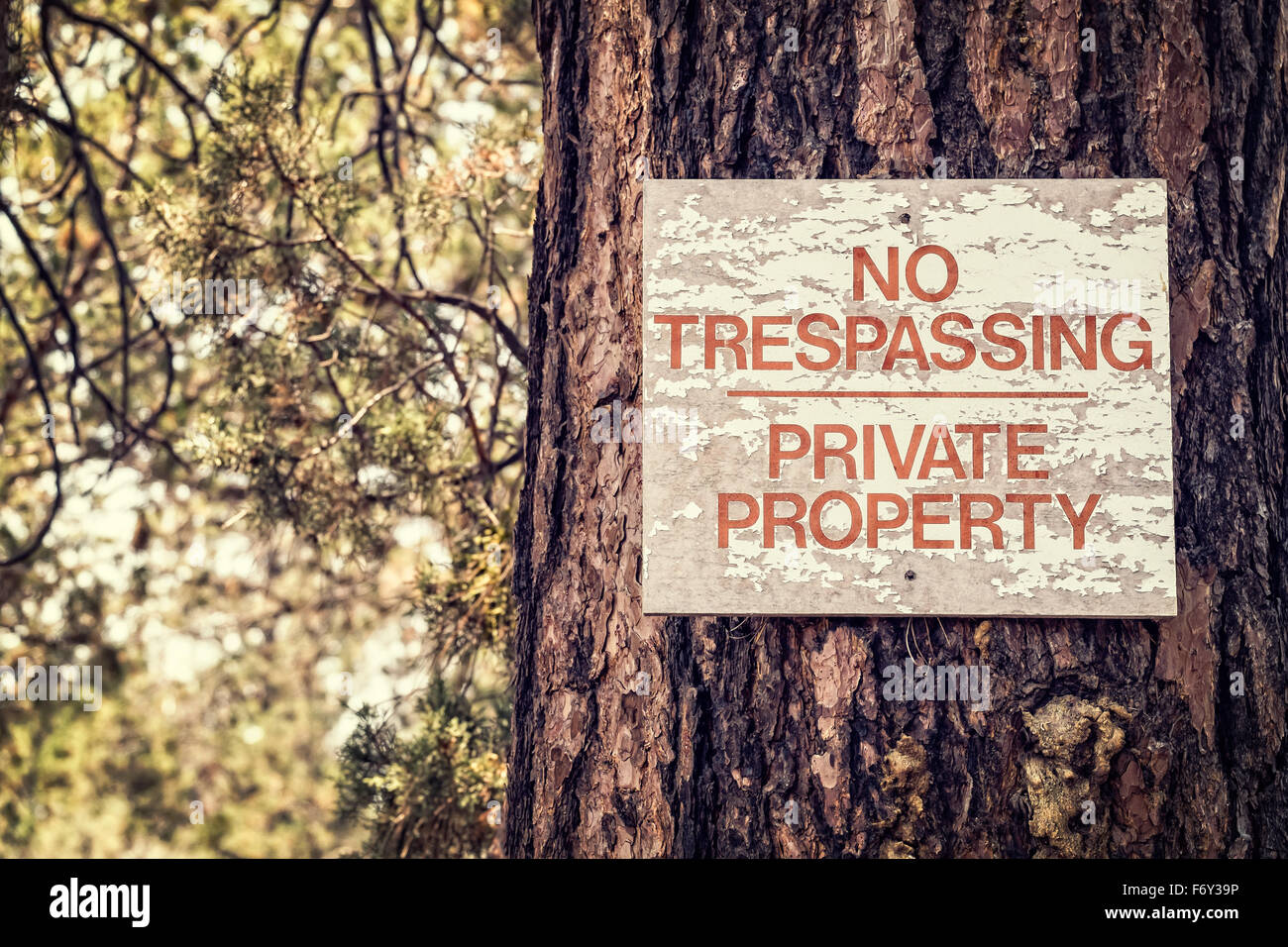 Weathered no trespassing sign on tree trunk in central Oregon Stock Photo