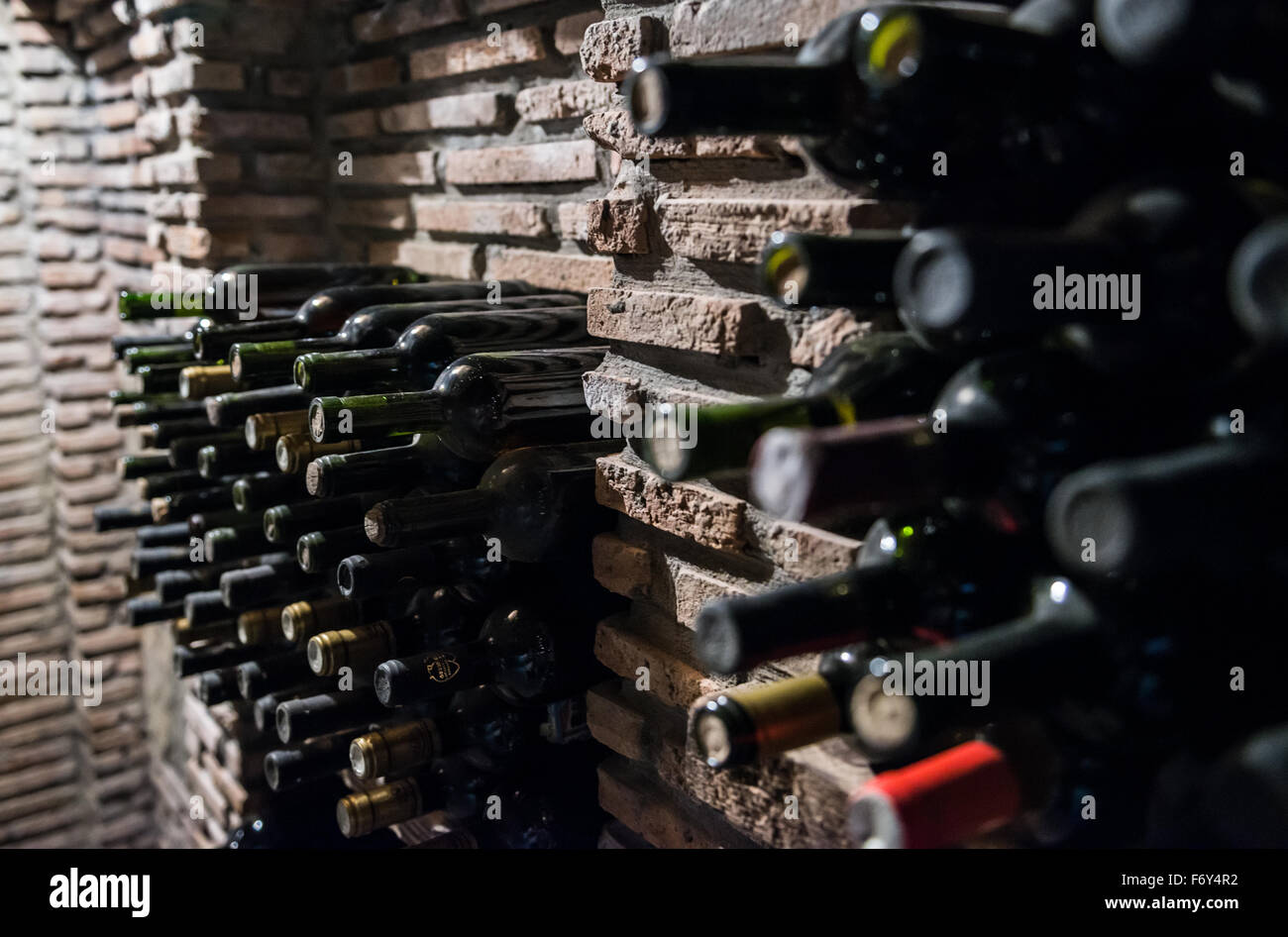wine cellar in Kvevri Wine Museum of Twins Wine Cellar Wine Company